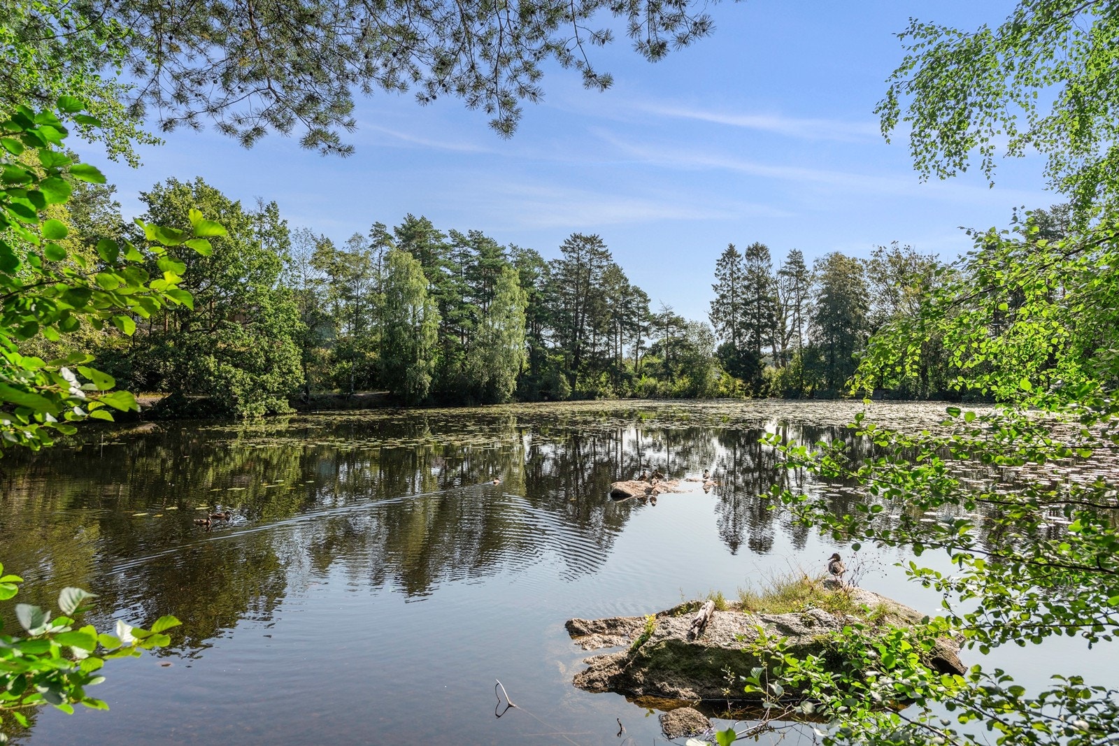 Brydedammen på våren Galleribilde