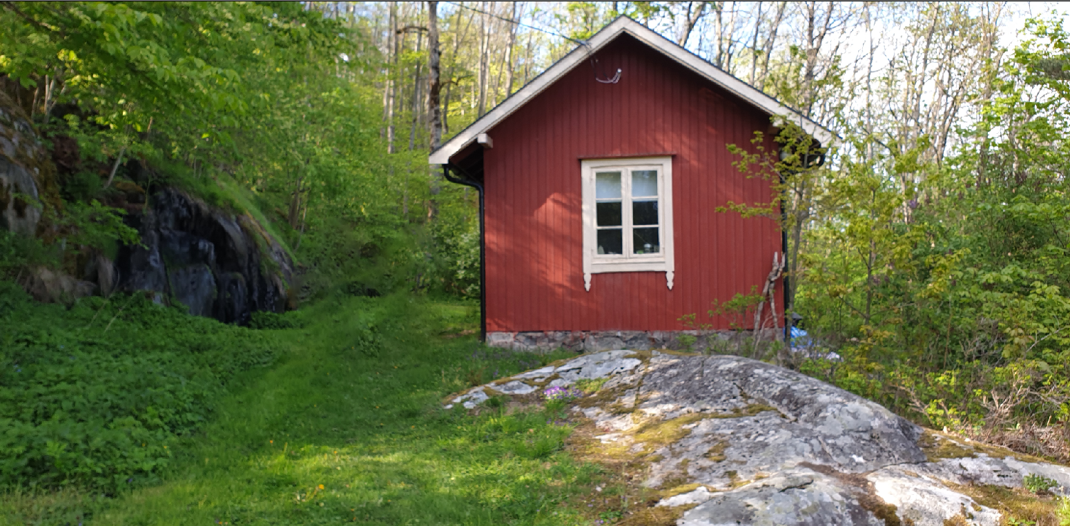 Selgers private bilde av Knardalveien på sommerstid. Galleribilde