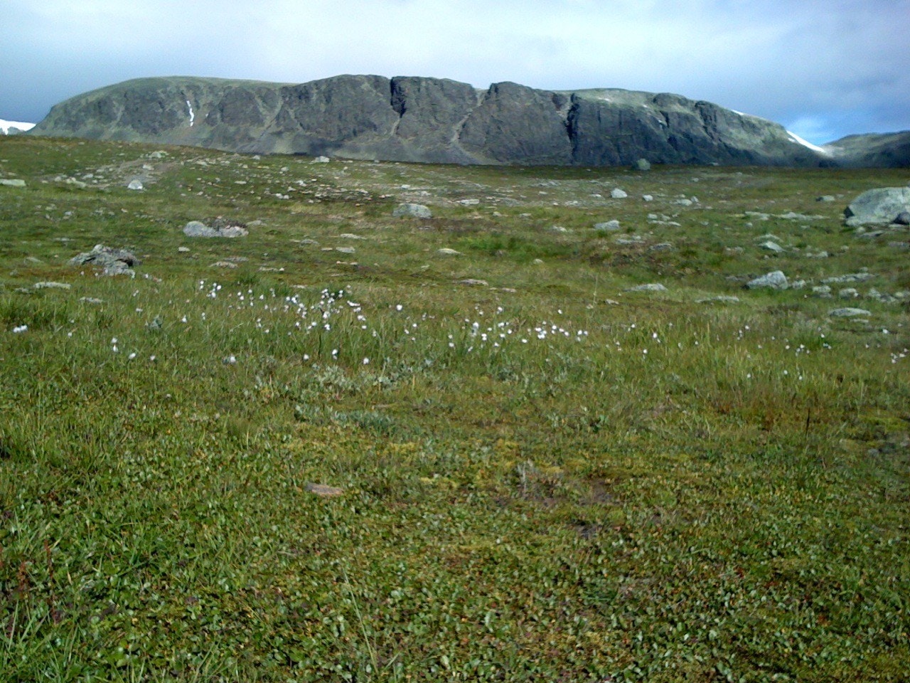Sommer på Ustaoset. Se frem til fantastiske naturopplevelser. Galleribilde