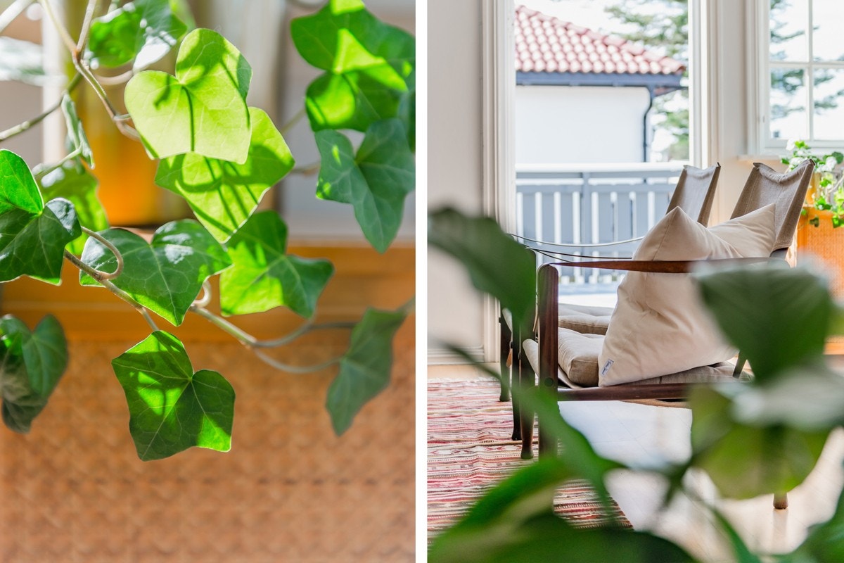 Detaljer Galleribilde