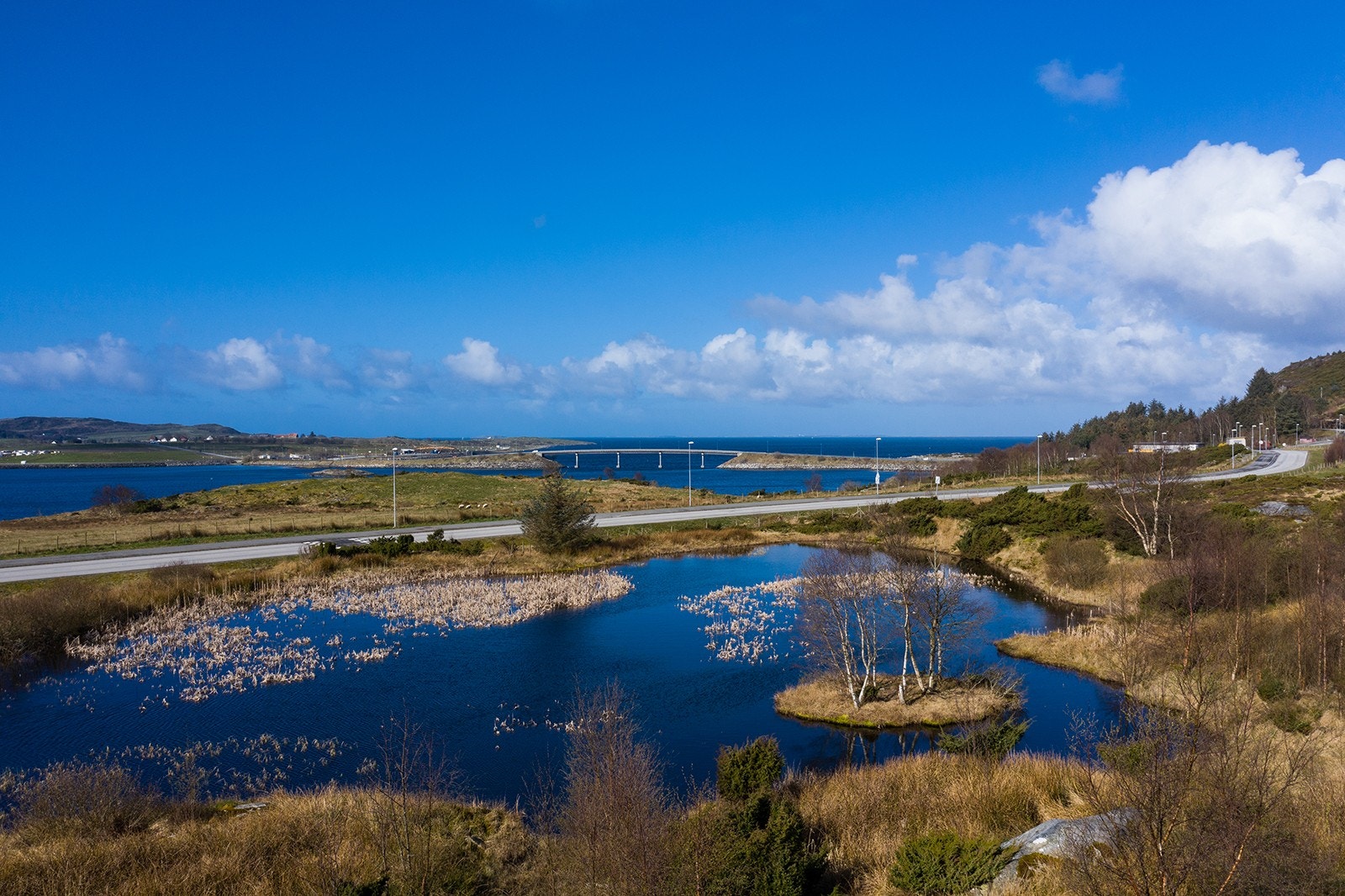 Område Galleribilde