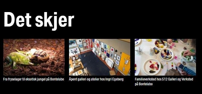 Ta del i det spennende miljøet på Bontelabo. Les mer på våre nettsider bontelabo.no Galleribilde