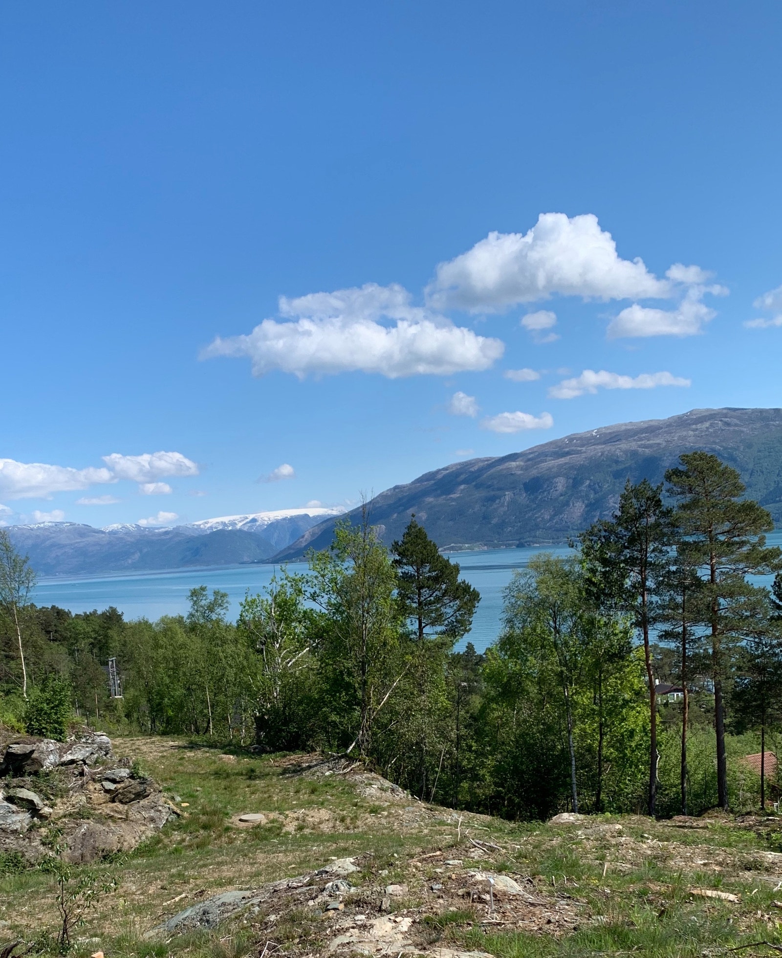 Utsikt mot Folgefonna Galleribilde