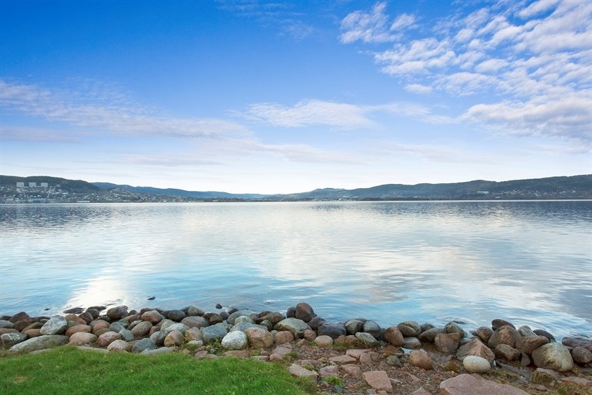 Nærområde. Galleribilde