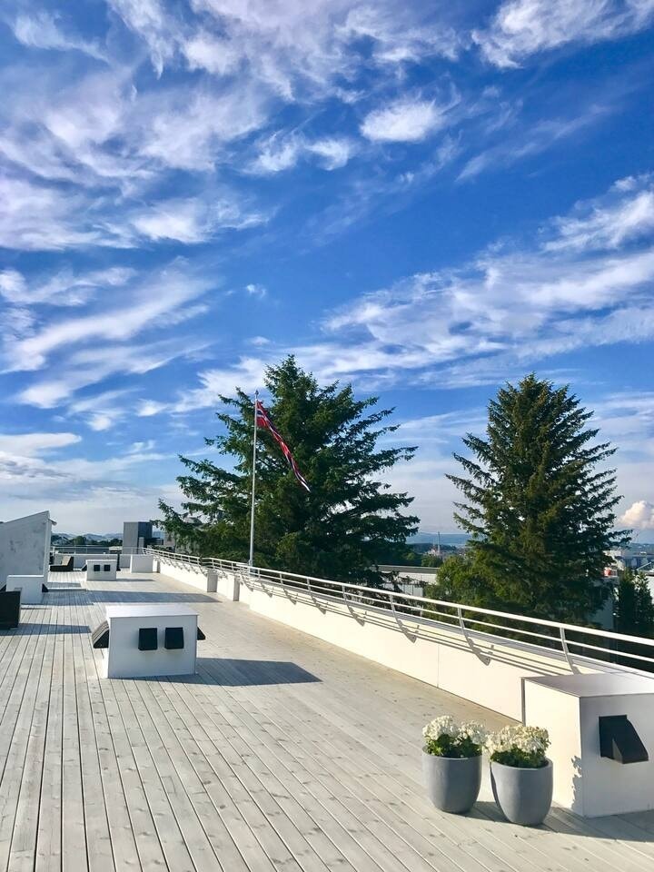 Felles takterasse Galleribilde