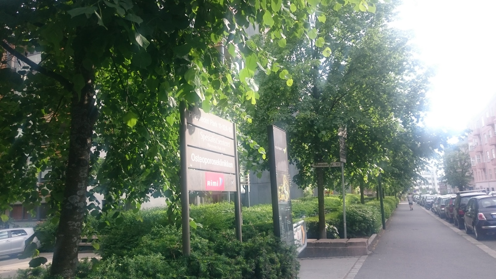 Mye grønn foran leilighet om sommer Galleribilde