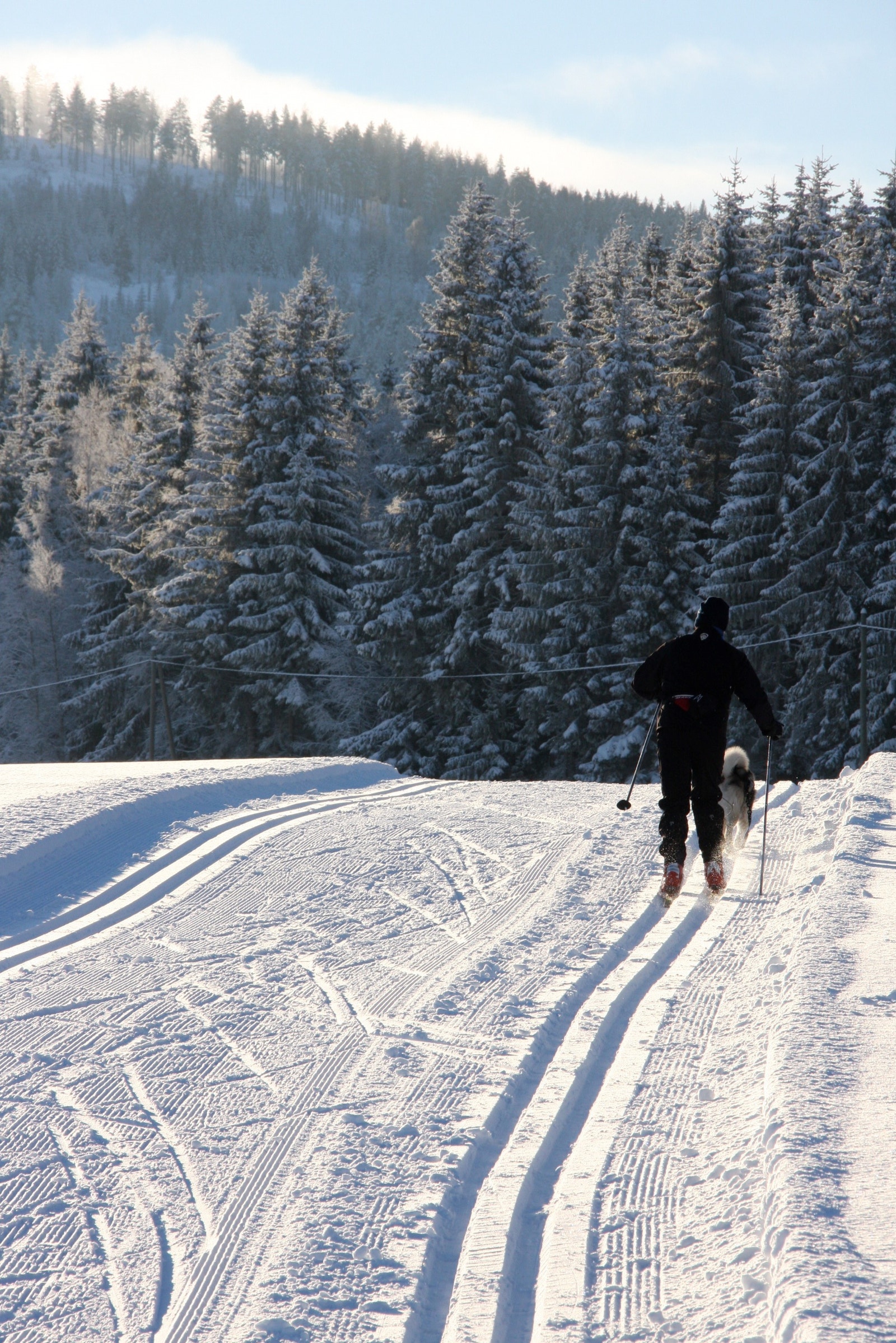 Langrennsløyper tilknyttes feltet om vinteren når det er skiføre Galleribilde