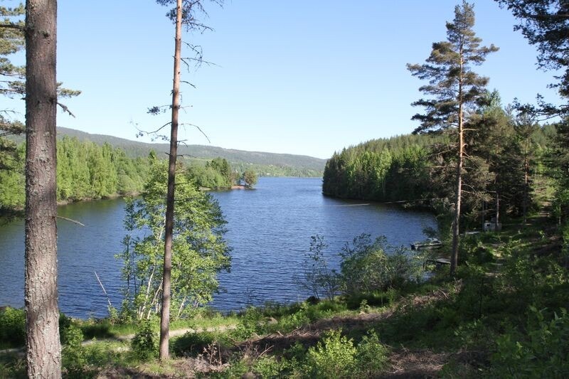 Utsikt fra tomtefeltet mot nord Galleribilde