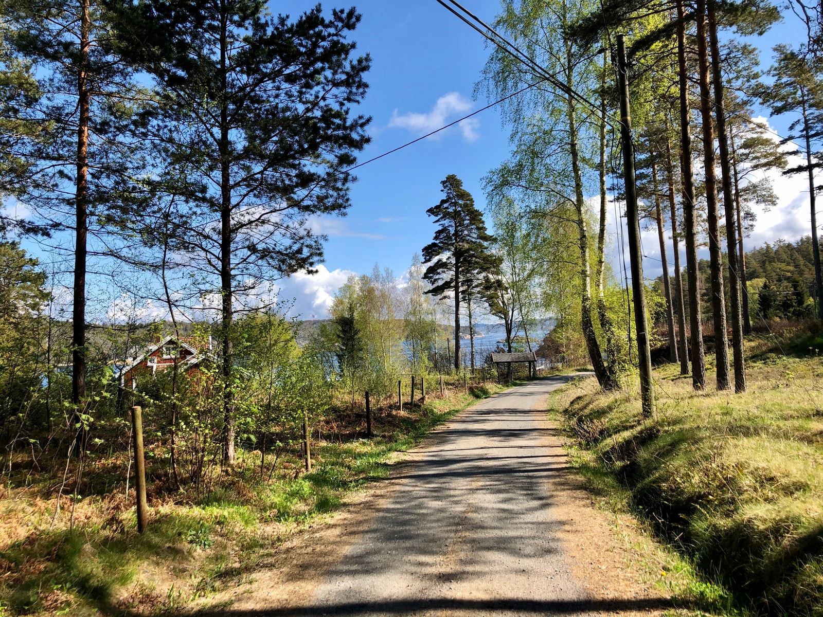 Buvikveien, på vei mot Røver’n! Galleribilde