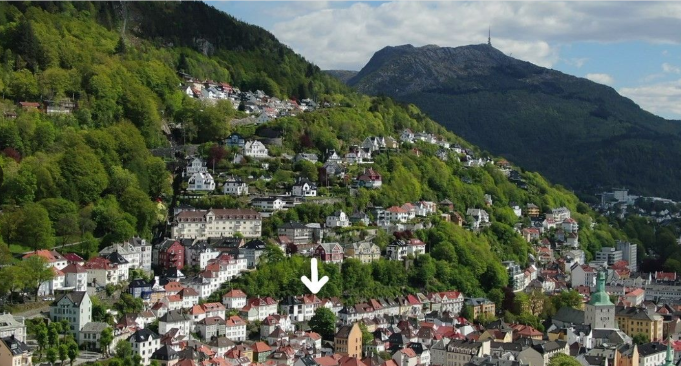 Fjellsiden Galleribilde