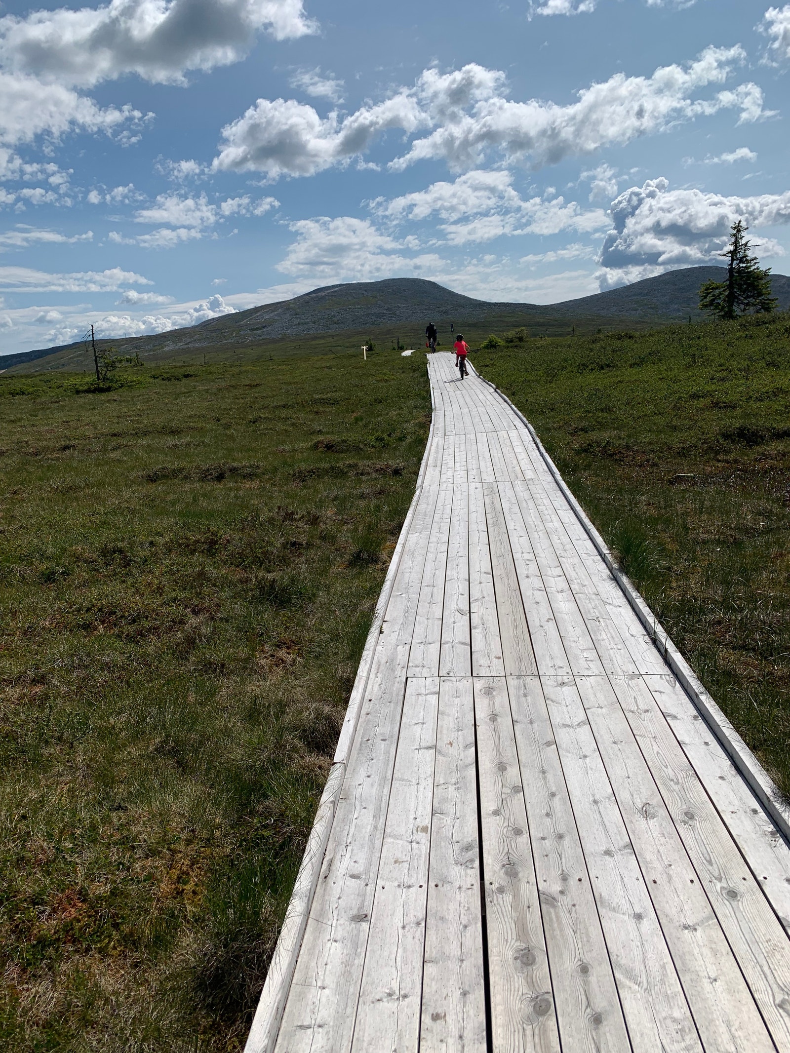 Nydelig tur-og sykkelterreng Galleribilde