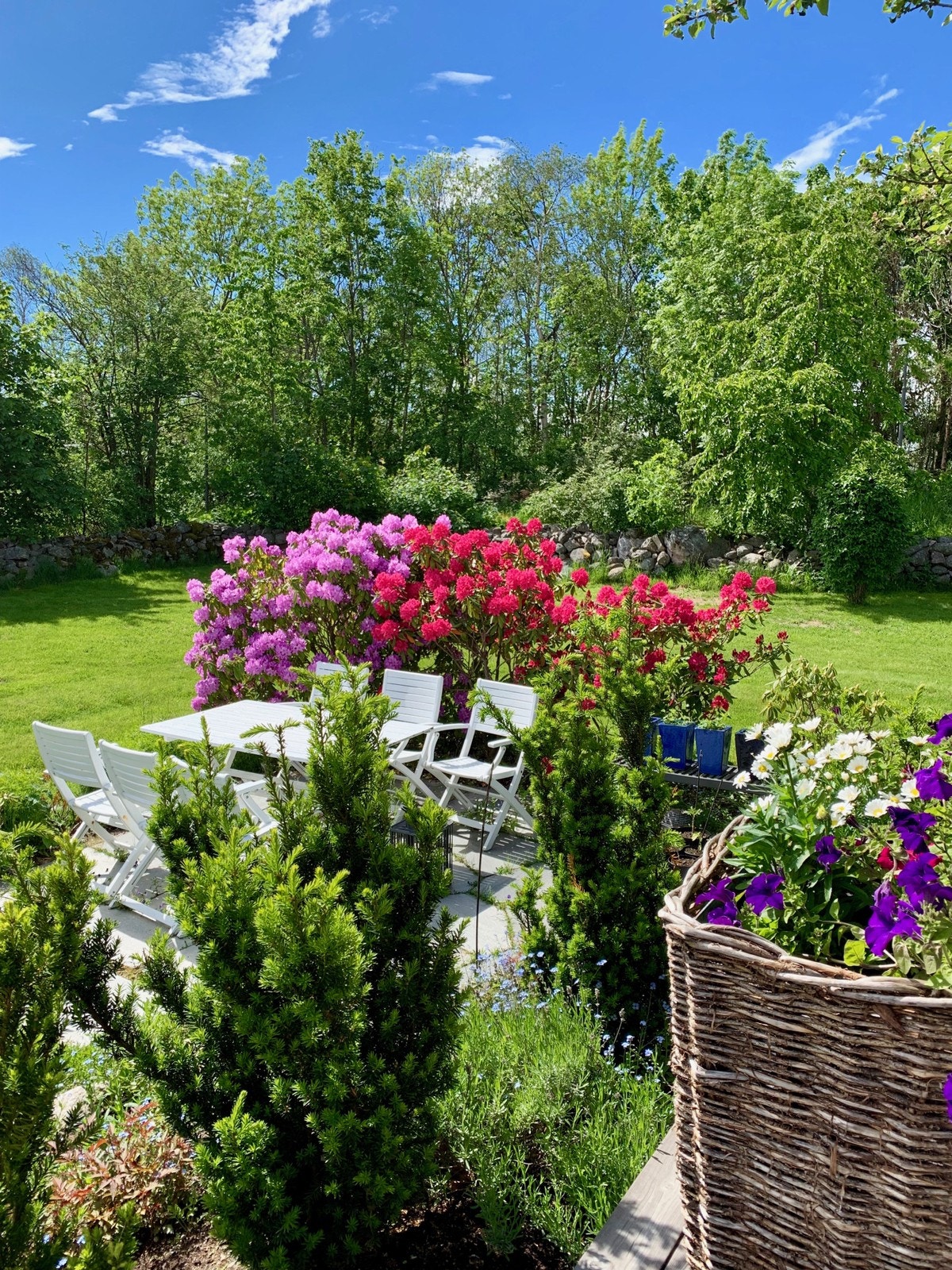 Fra hagen Galleribilde