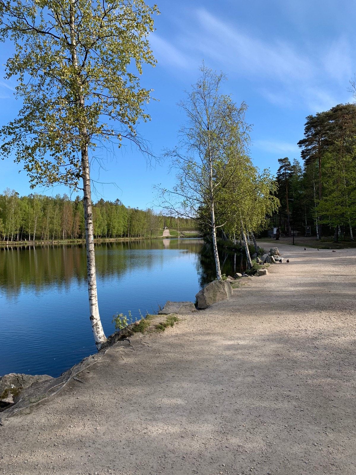 Flotte tur/ løpe og sykkelforhold ved 2. dam. Galleribilde