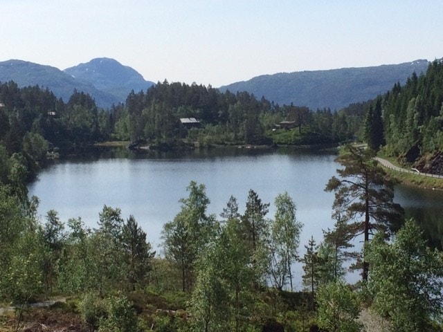 Vid utsikt Galleribilde