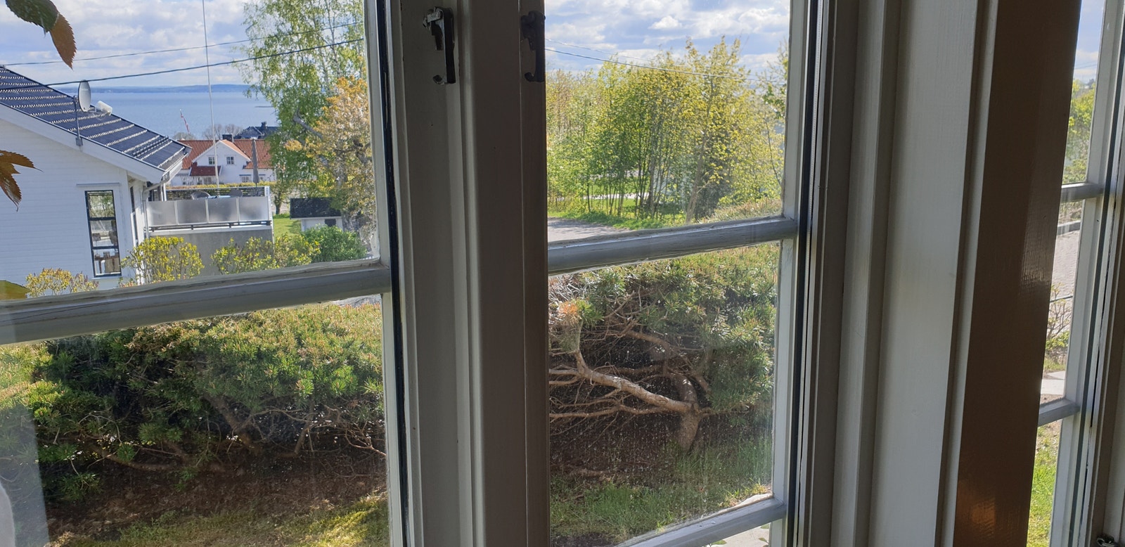 Utsikt til fjorden Galleribilde