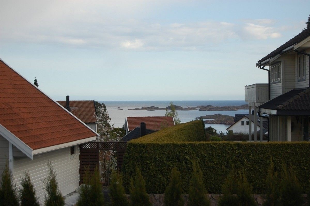 Utsikt fra hagen Galleribilde