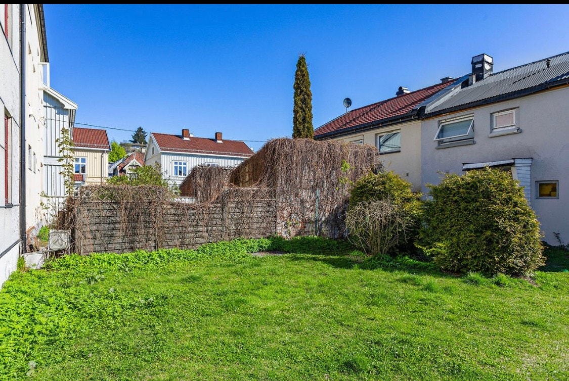 Solrik felleshage Galleribilde