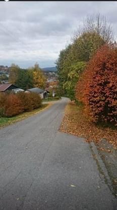 Digrudveien Galleribilde