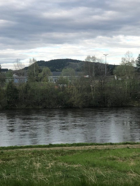 Her vises Steinkjer hallen på andre siden av elva. Galleribilde