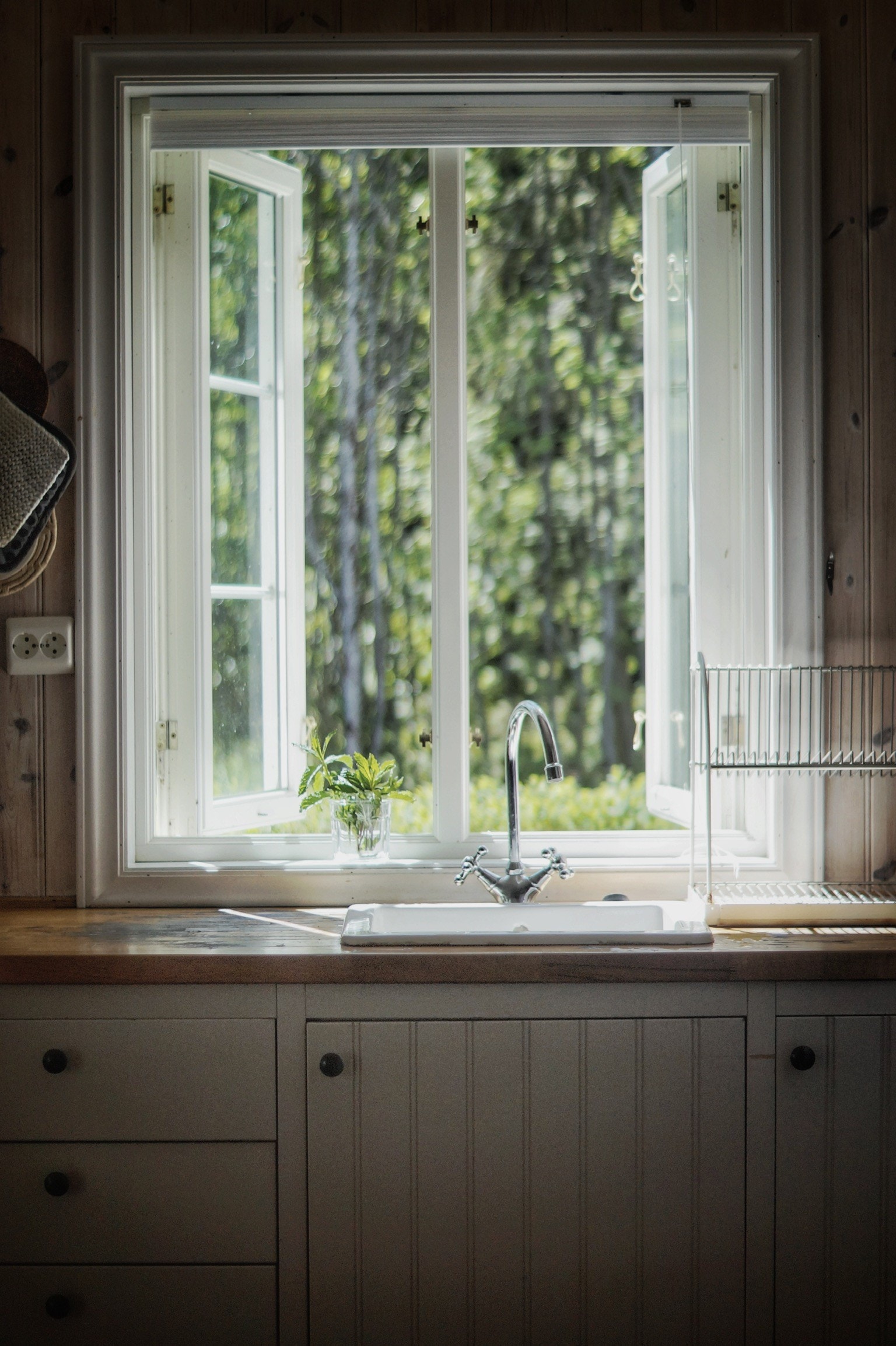 Hytten ligger rett ved skog og flotte turstier Galleribilde
