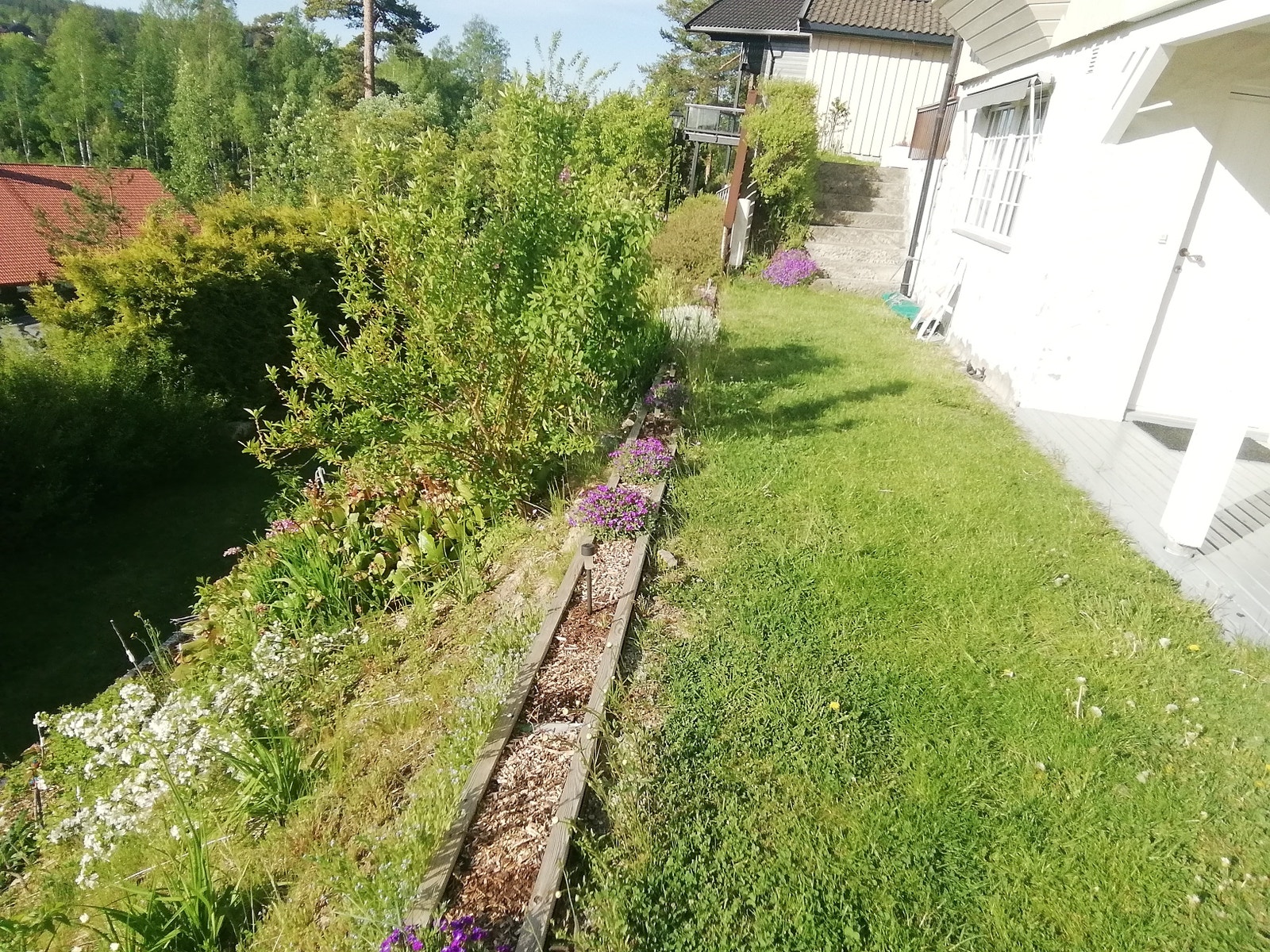 Uteområde Galleribilde