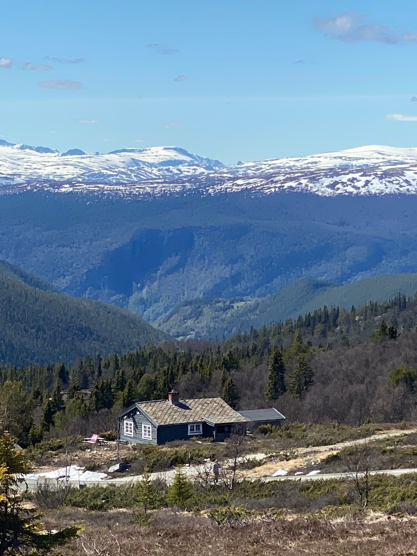 Maribu med Jotunheimen i front bak fotograf Rondane Galleribilde