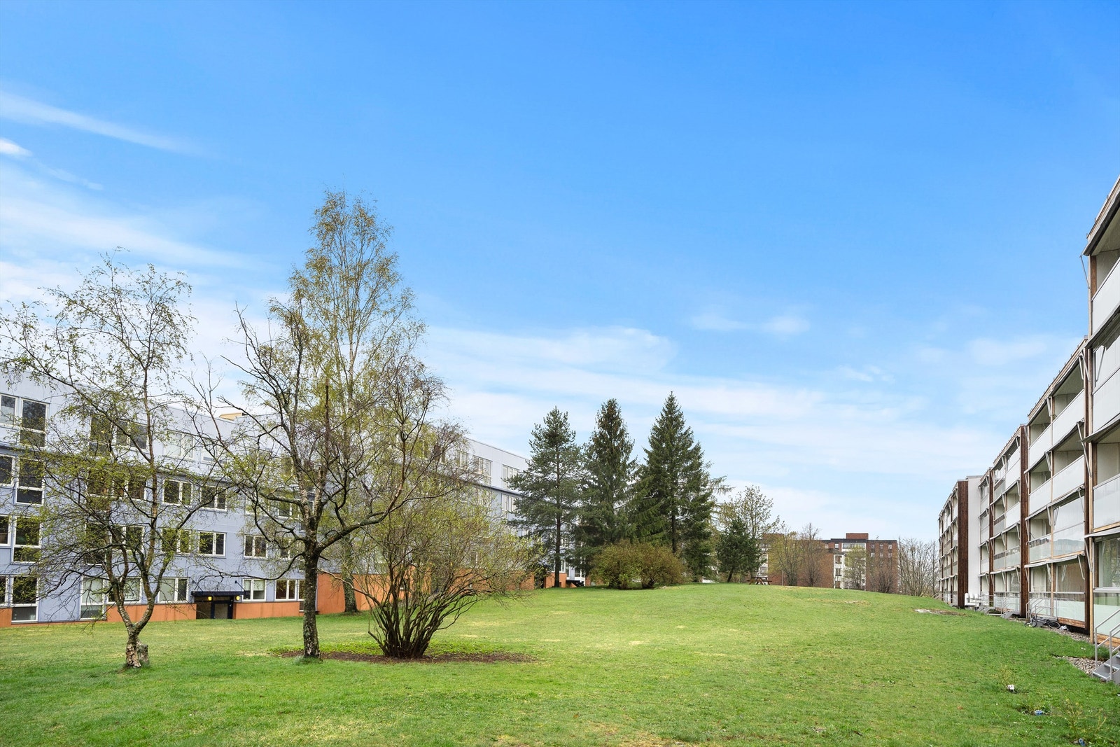 Fine fellesarealer Galleribilde