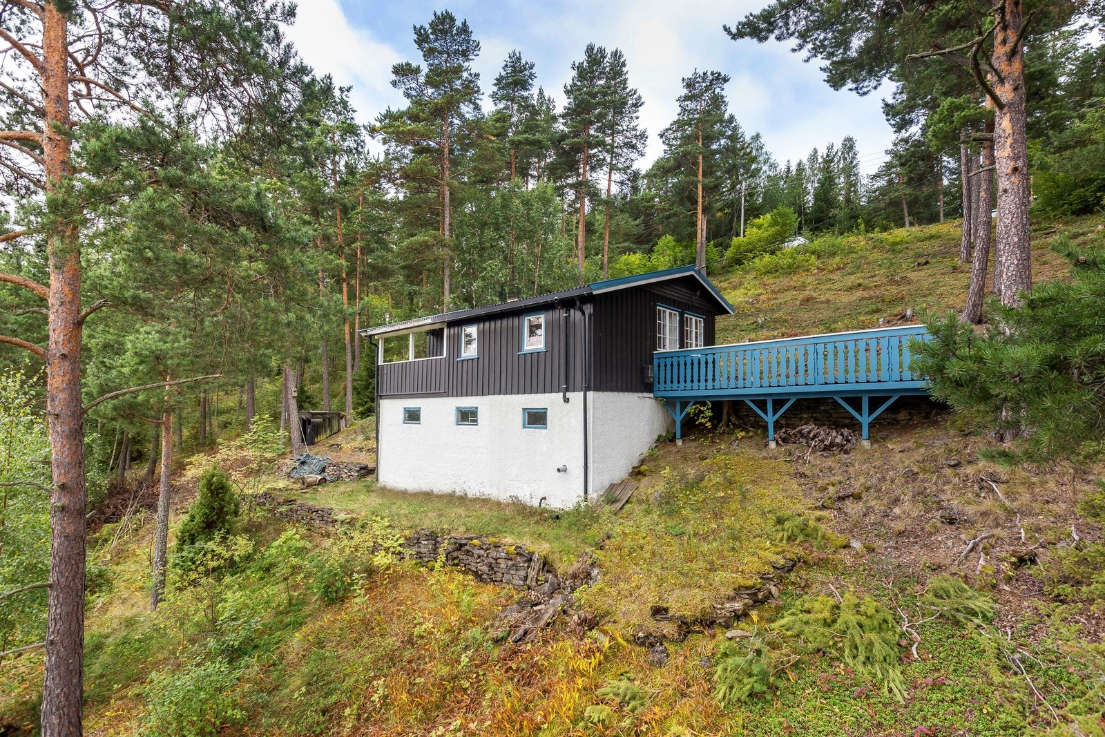 Fint å leke for unger! Galleribilde