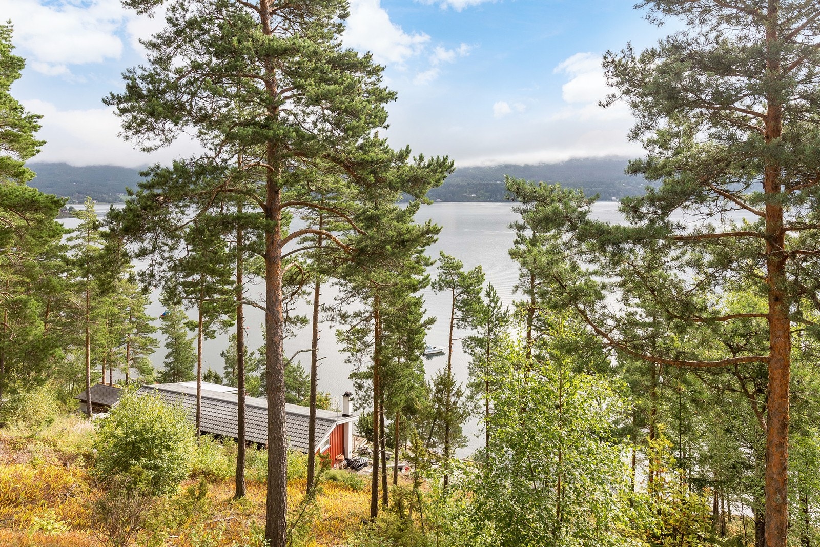 Intet å si på utsikten Galleribilde