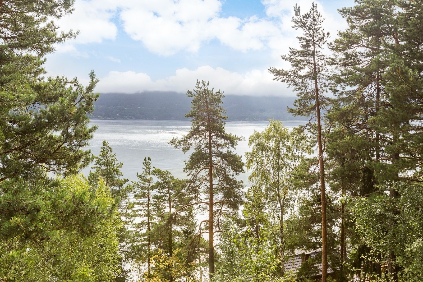 Steinsfjorden like nedenfor Galleribilde