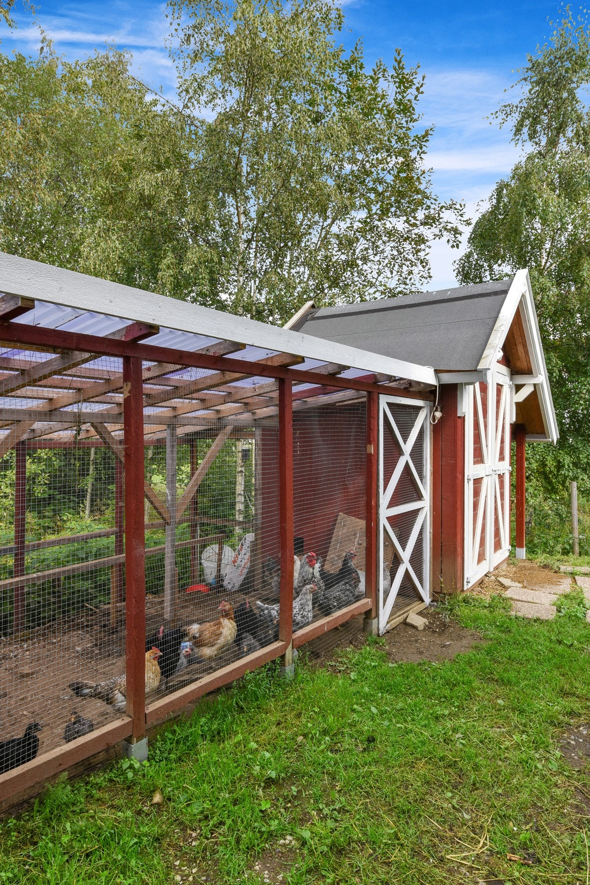 Hønsehus. Galleribilde