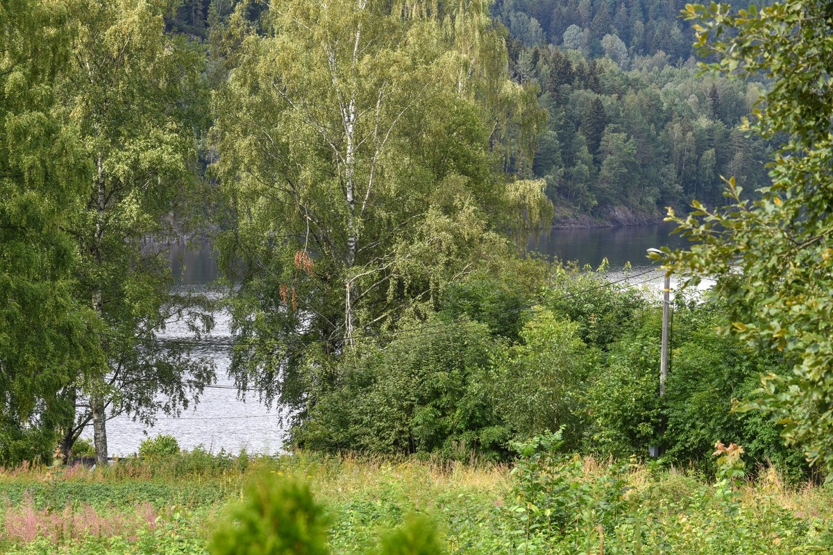 Det er ca. 750 meter til idylliske Svangstrand ved Holsfjorden. Galleribilde