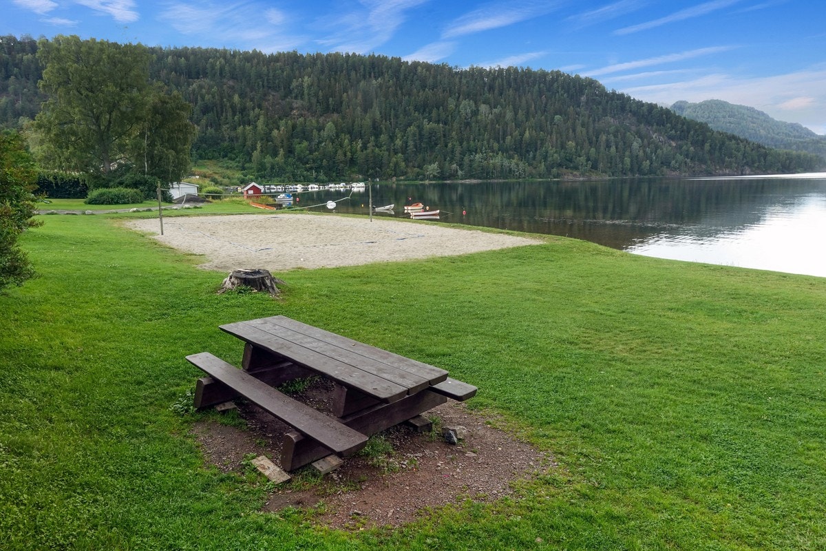 Nærområde. Galleribilde