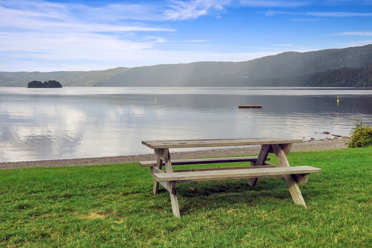 Nærområde. Galleribilde