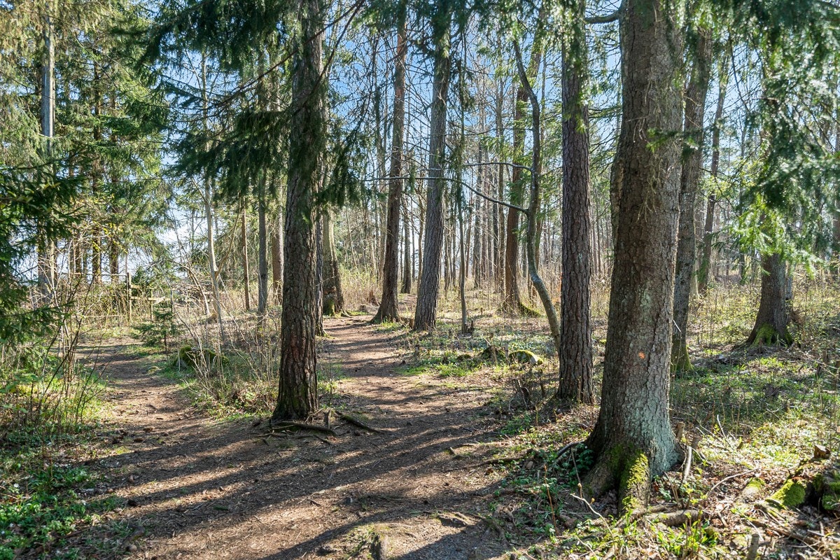Friområde rett på utsiden av døren Galleribilde