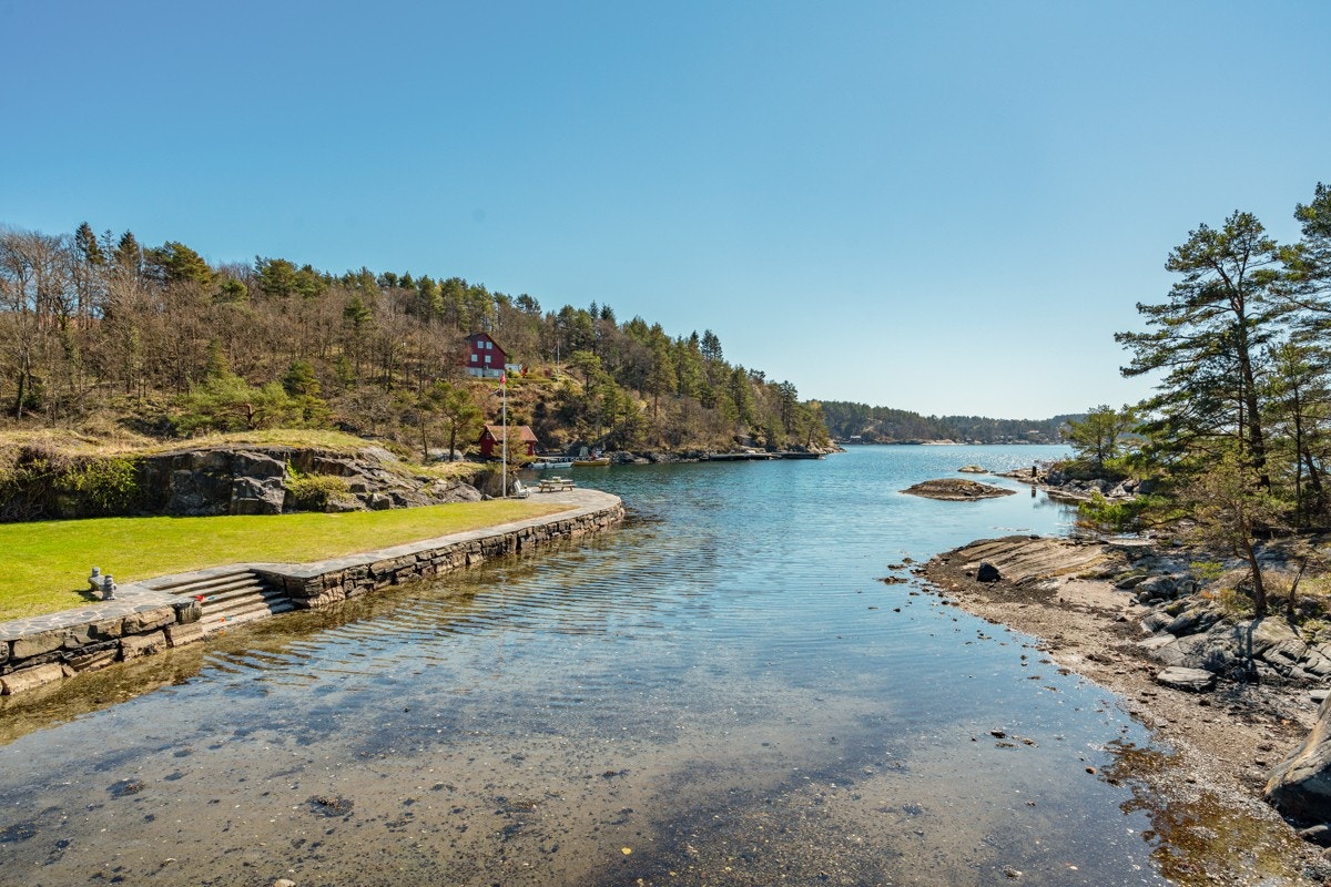 Del av tomten Galleribilde