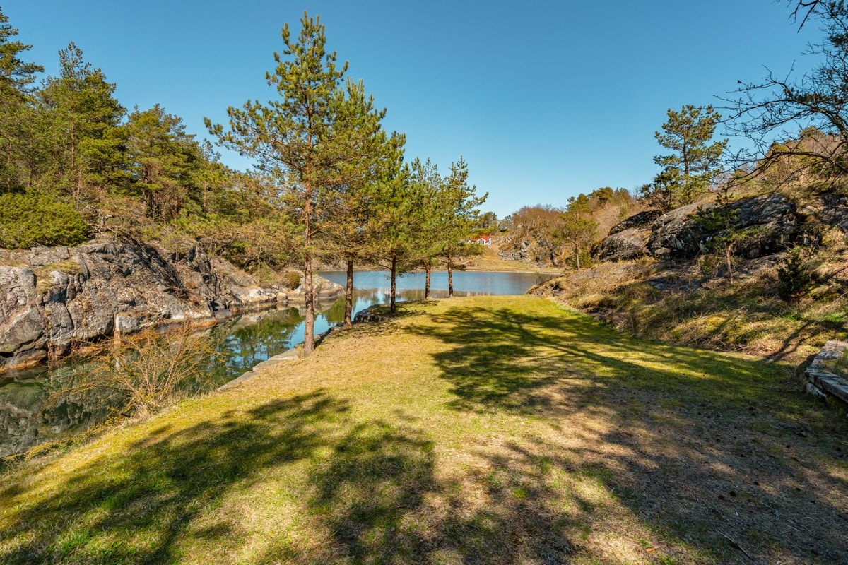 Del av tomten med plenarealer Galleribilde