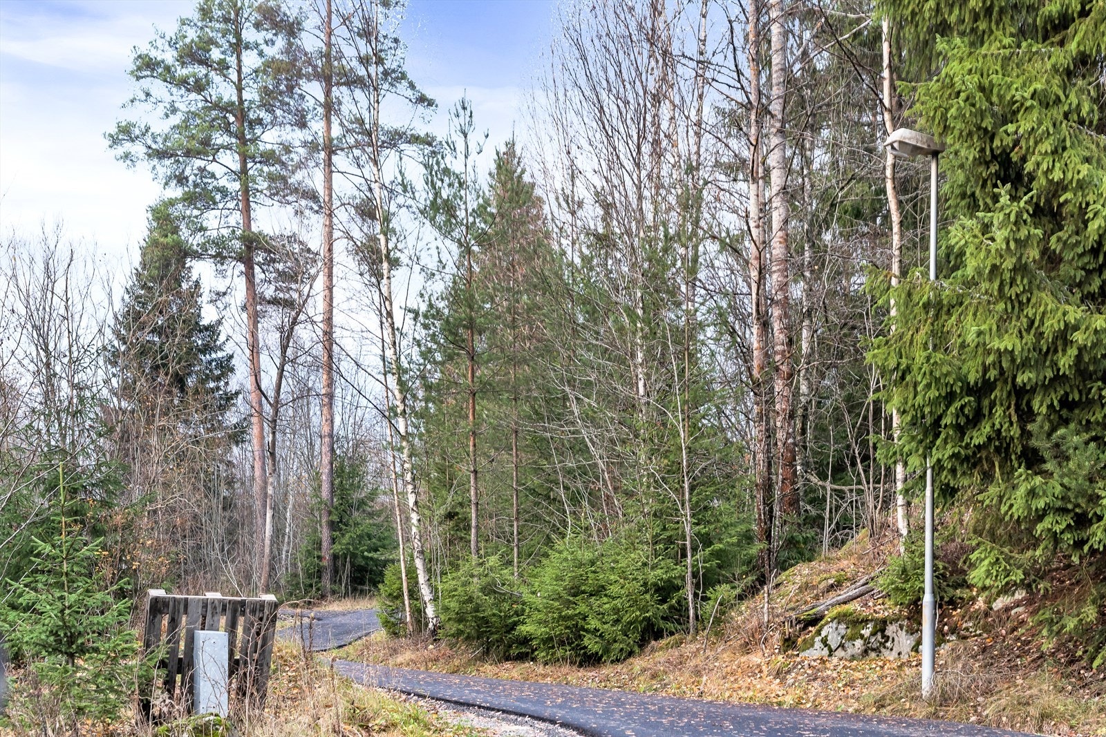 Nærområdet. Galleribilde