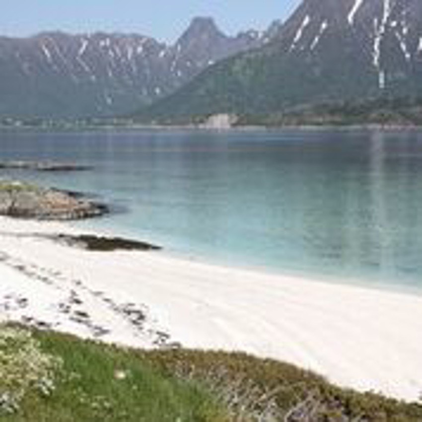 HXDfXiOg Galleribilde