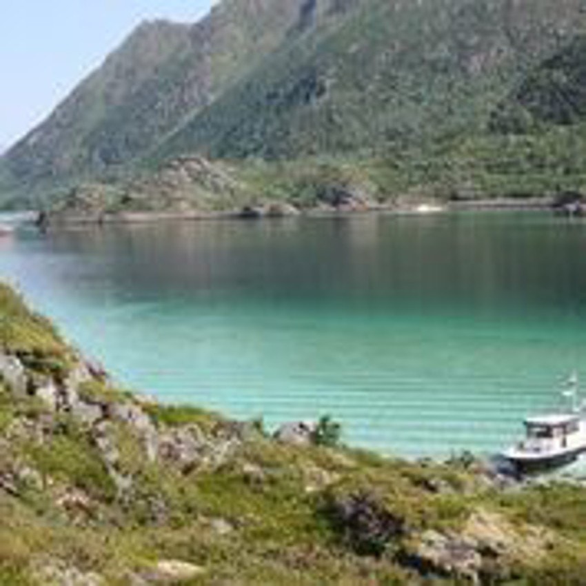 LdAHObZw Galleribilde