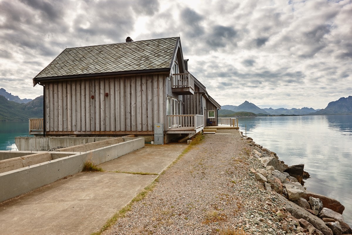 Moloen mot hytta Galleribilde