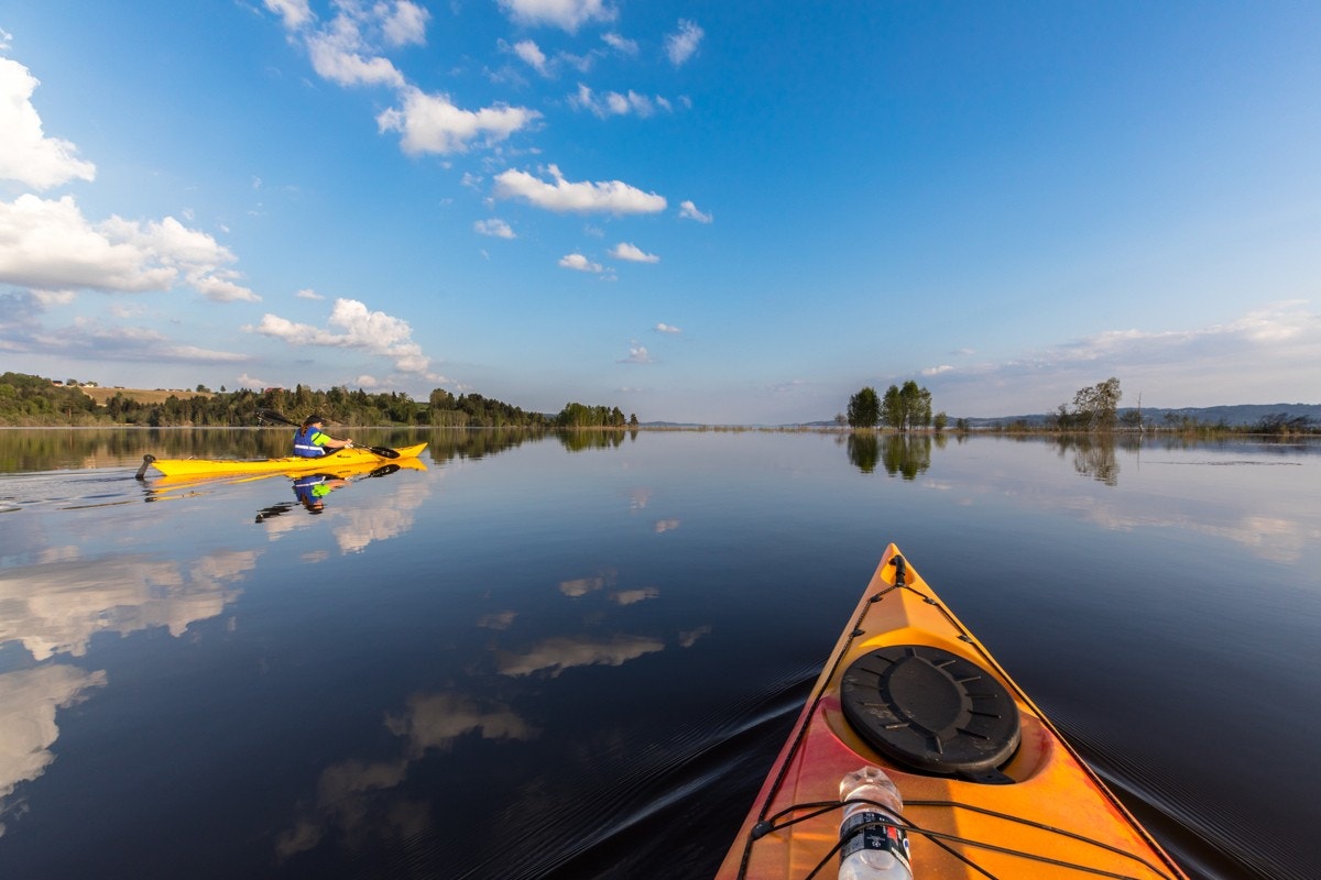 Øyeren_Padling Galleribilde