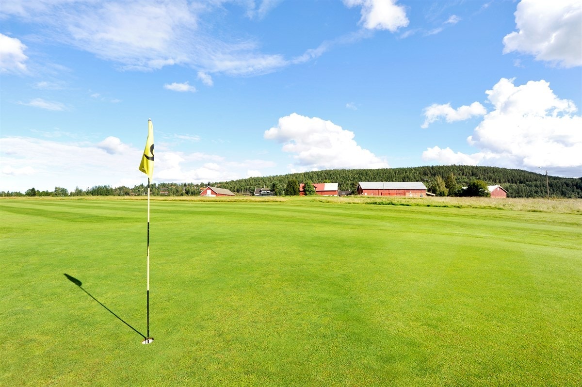 Det finnes korthullsbane i nærområdet. Galleribilde