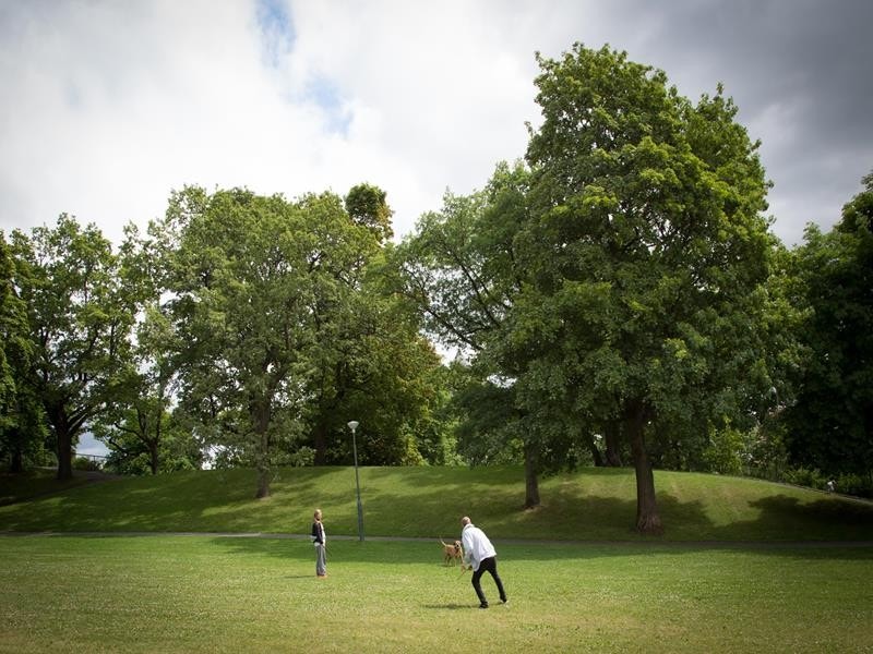 Bjølsenparken ligger i nærheten, som byr på gode tur- og rekreasjonsmuligheter Galleribilde