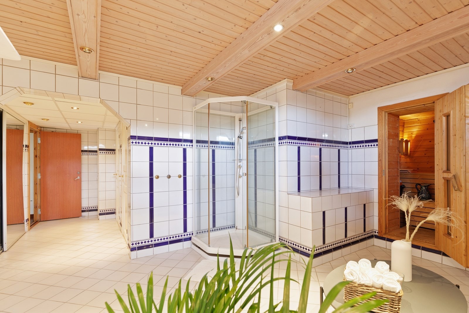 Stort velværeavdeling med svømmebasseng, dusjbad med wc, garderobe/trimrom, badstue og gjesterom Galleribilde