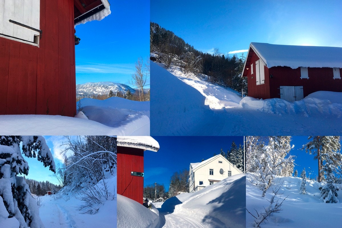 Like vakkert sommer som vinter. Galleribilde