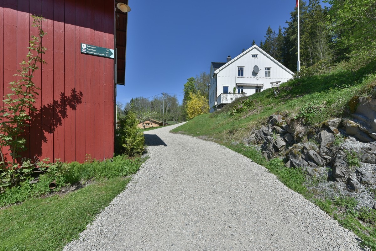 Gruset vei inn på tunet. Galleribilde