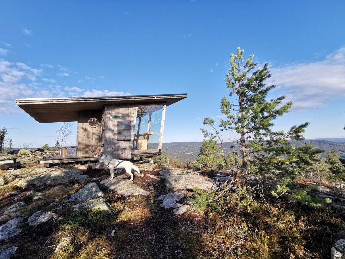 I fantastiske Finnemarka ligger det åpne hytter og gapahuker eid av Statsskog Galleribilde