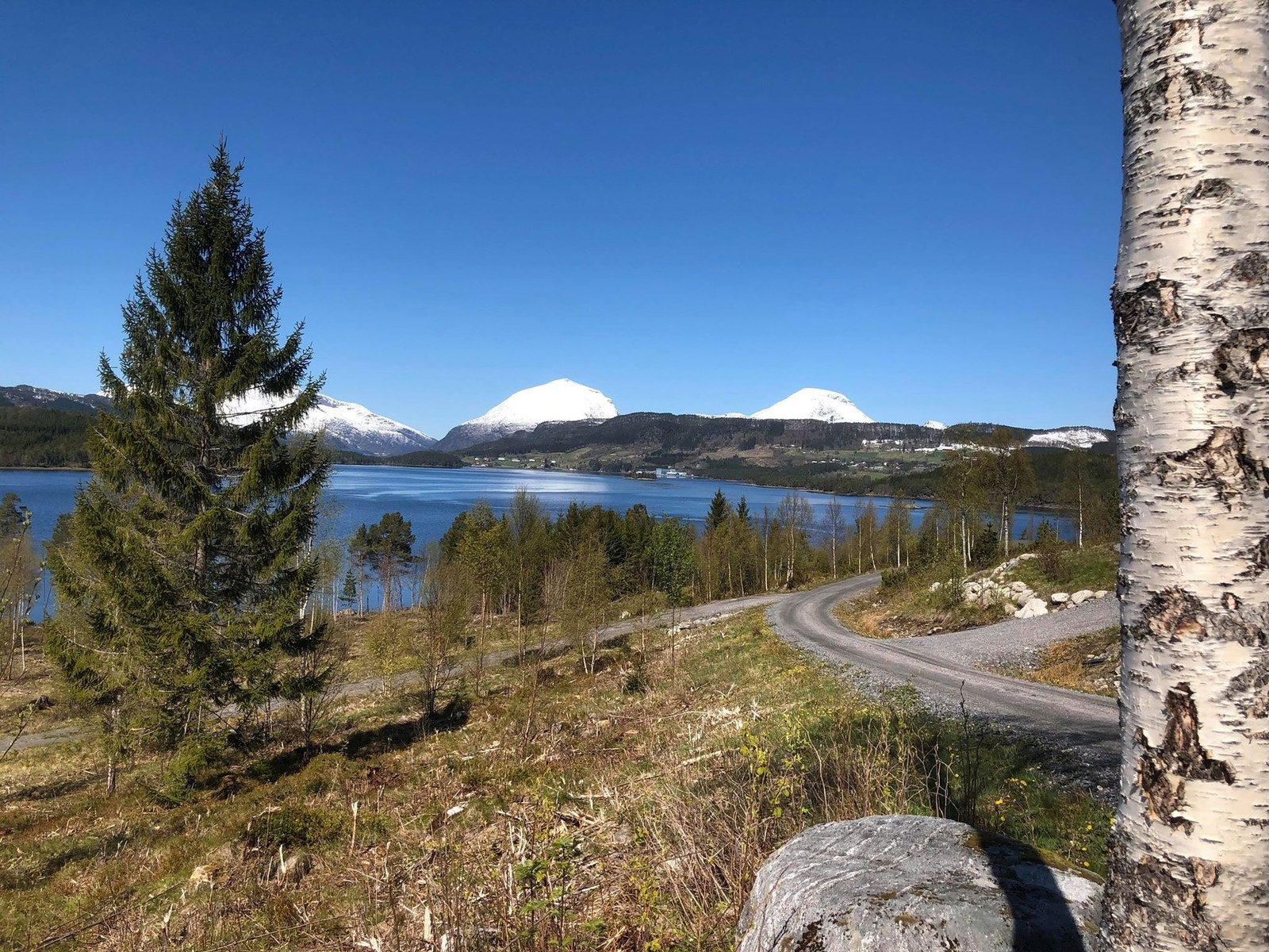 Bilde fra tomta Galleribilde