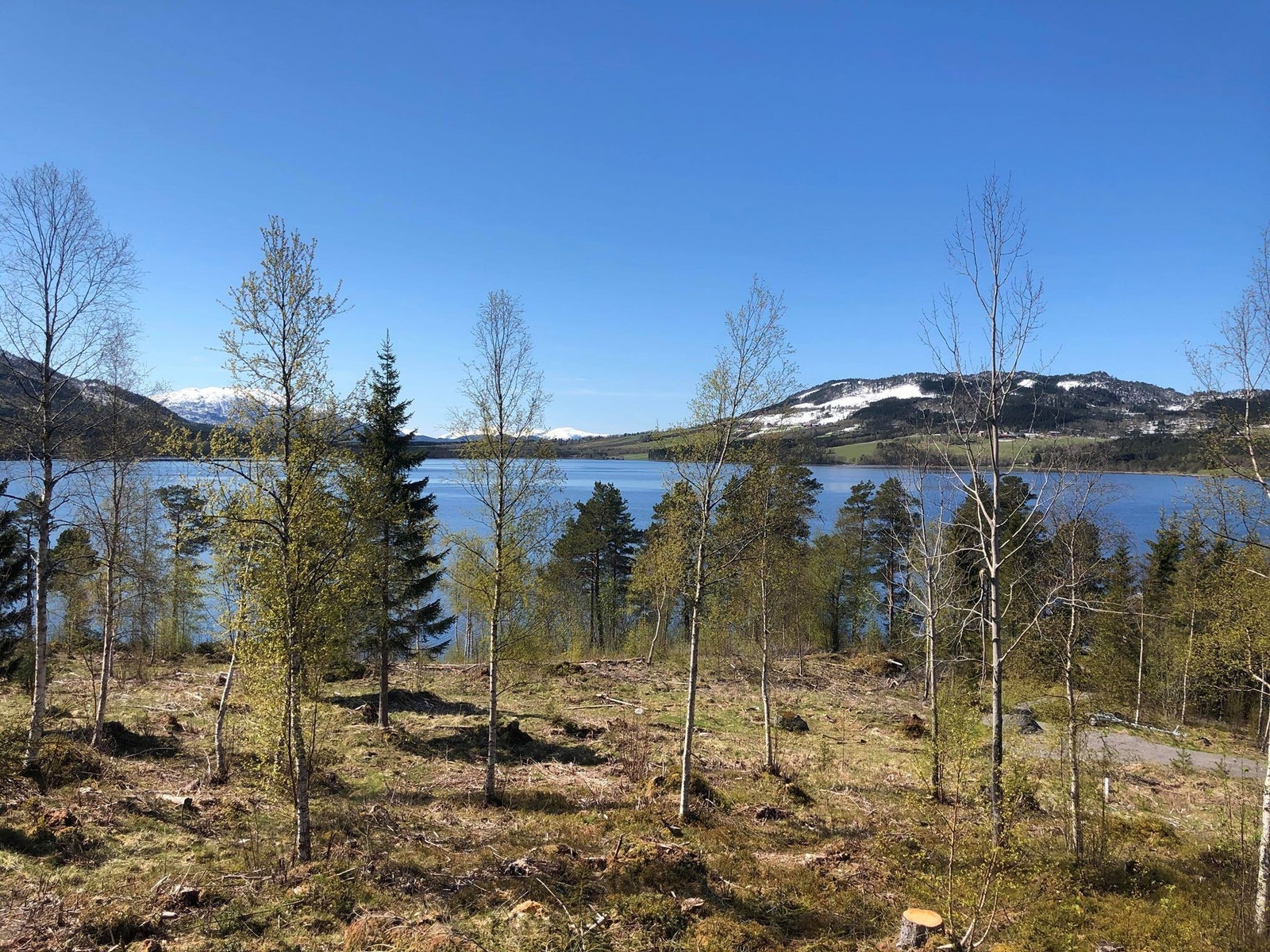Bilde fra tomta Galleribilde